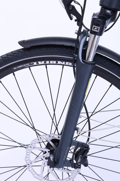 1200 €, Damen E-Bike WEE-Rubi , 28 Zoll, 7 Gang, 90 NM, 630 WH-Samsung mit E-Laufband